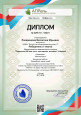 МОИ ПРОФЕССИОНАЛЬНЫЕ ДОСТИЖЕНИЯ