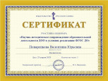 МОИ ПРОФЕССИОНАЛЬНЫЕ ДОСТИЖЕНИЯ
