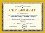 МОИ ПРОФЕССИОНАЛЬНЫЕ ДОСТИЖЕНИЯ