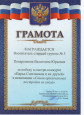 МОИ ПРОФЕССИОНАЛЬНЫЕ ДОСТИЖЕНИЯ