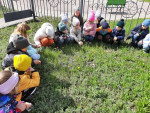 Аппликация "Одуванчик".