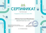 Непрерывность профессионального развития
