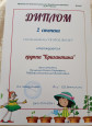 Программы дополнительного образования