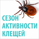 Осторожно-клещи!