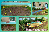 ДО 2 (с.Васильевское)
