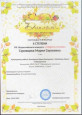 Достижения воспитанников