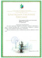 Наличие отмеченных профессиональных достижений