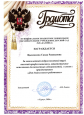 Наличие отмеченных профессиональных достижений
