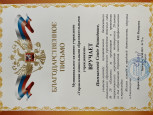 Наличие отмеченных профессиональных достижений