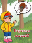  Памятка для родителей "Осторожно -клещи"