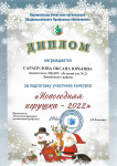 Диплом участника