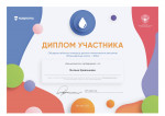Диплом участника
