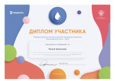 Диплом участника