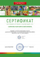Сертификат участника ДМКДО 