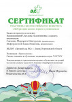 2018-2019 Сертификат участника Всероссийского конкурса