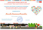 Диплом победителя