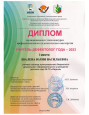 Учитель-дефектолог 2023 (муниципальный этап)