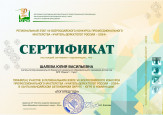 Учитель-дефектолог 2024 (региональный этап)