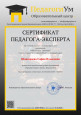 Экспертная деятельность  