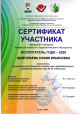 Участие в профессиональных конкурсах 