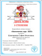 Участие в профессиональных конкурсах 