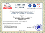 Участие в профессиональных конкурсах 