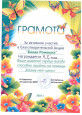 Наличие внеурочных мероприятий, реализуемых педагогом  