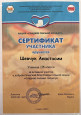 Наличие внеурочных мероприятий, реализуемых педагогом  