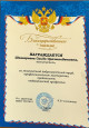 Наличие отмеченных профессиональных достижений  