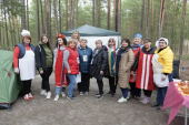 Профессионально-общественная активность педагога 