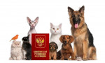 «Коробка добра». 