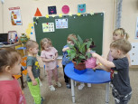 День благодарности комнатным растениям.