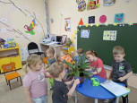 День благодарности комнатным растениям.