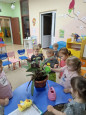 День благодарности комнатным растениям.