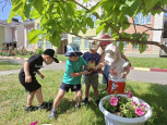 День Окружающей среды