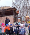 День зимующих птиц.