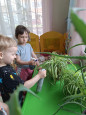 День Воды