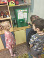 Финансовая  грамотность