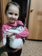 «День кошки»