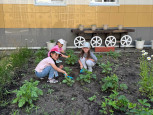 "Цветник Победы: Память и красота, выращенные с любовью!" 