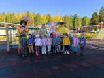 Осенний лес и грибы. 