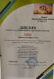 Транслирование опыта профессиональной деятельности