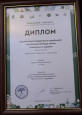 Транслирование опыта профессиональной деятельности