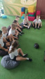 Наблюдение «Кто живет в аквариуме?»