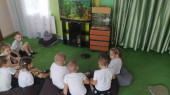 Наблюдение «Кто живет в аквариуме?»