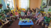 Опыт с пекинской капустой 