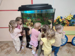 Занятие в группе раннего возраста «Рыбка плавает в воде»