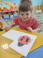 Лепка "Божья коровка"