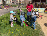 ДЕНЬ ОДУВАНЧИКА