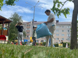 Трудовое воспитание в младшей группе